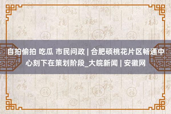 自拍偷拍 吃瓜 市民问政 | 合肥硕桃花片区畅通中心刻下在策划阶段_大皖新闻 | 安徽网