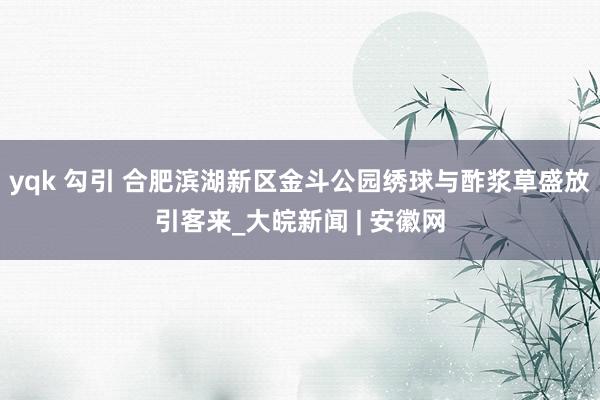 yqk 勾引 合肥滨湖新区金斗公园绣球与酢浆草盛放引客来_大皖新闻 | 安徽网