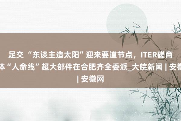 足交 “东谈主造太阳”迎来要道节点，ITER磋商磁体“人命线”超大部件在合肥齐全委派_大皖新闻 | 安徽网