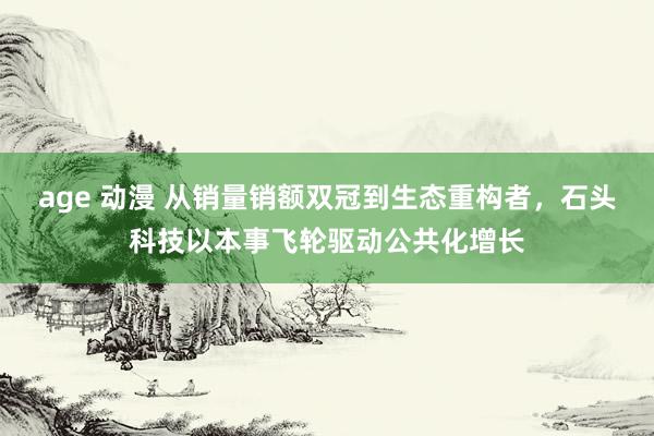 age 动漫 从销量销额双冠到生态重构者，石头科技以本事飞轮驱动公共化增长