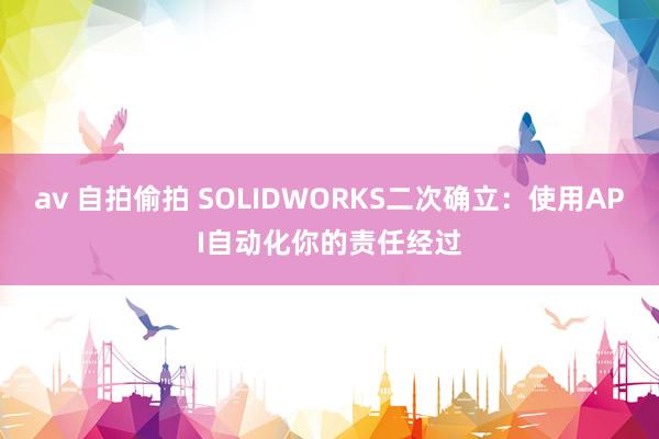 av 自拍偷拍 SOLIDWORKS二次确立：使用API自动化你的责任经过