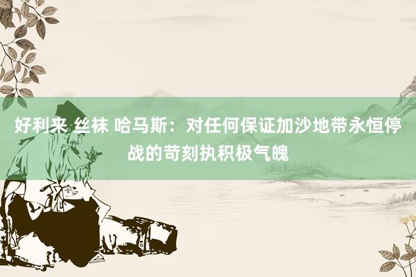 好利来 丝袜 哈马斯：对任何保证加沙地带永恒停战的苛刻执积极气魄