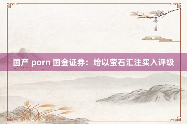 国产 porn 国金证券：给以萤石汇注买入评级