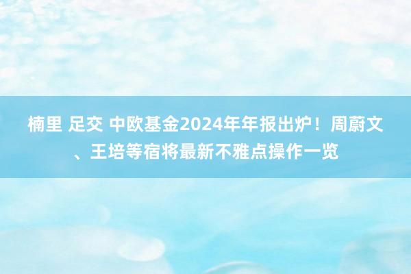 楠里 足交 中欧基金2024年年报出炉！周蔚文、王培等宿将最新不雅点操作一览