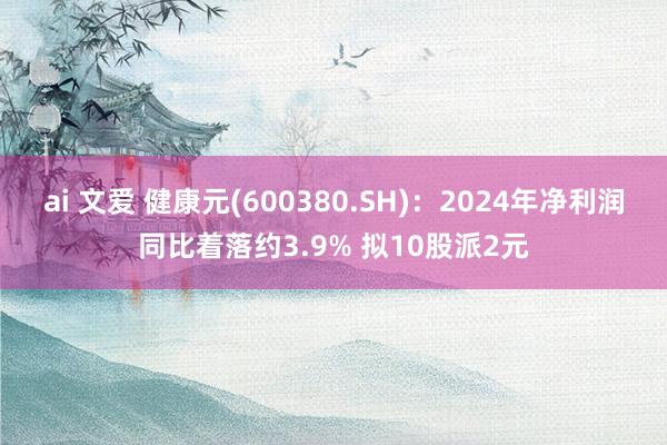 ai 文爱 健康元(600380.SH)：2024年净利润同比着落约3.9% 拟10股派2元