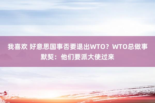 我喜欢 好意思国事否要退出WTO？WTO总做事默契：他们要派大使过来