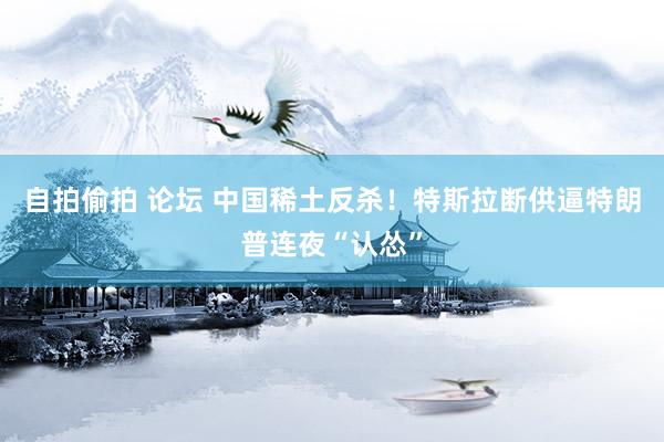 自拍偷拍 论坛 中国稀土反杀！特斯拉断供逼特朗普连夜“认怂”