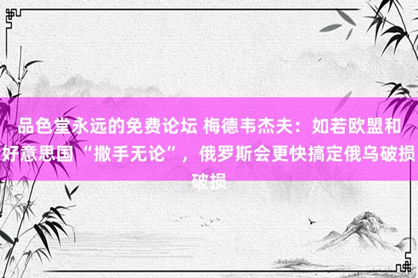 品色堂永远的免费论坛 梅德韦杰夫：如若欧盟和好意思国 “撒手无论”，俄罗斯会更快搞定俄乌破损