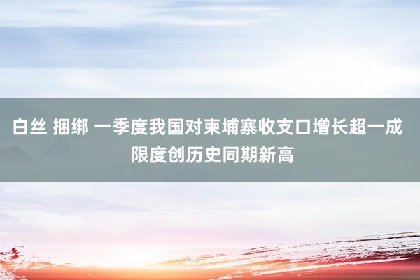 白丝 捆绑 一季度我国对柬埔寨收支口增长超一成  限度创历史同期新高