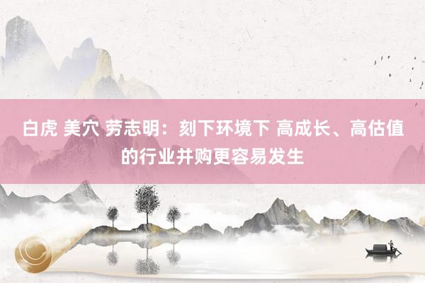 白虎 美穴 劳志明：刻下环境下 高成长、高估值的行业并购更容易发生
