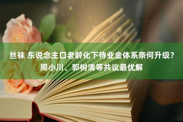 丝袜 东说念主口老龄化下待业金体系奈何升级？周小川、郭树清等共议最优解