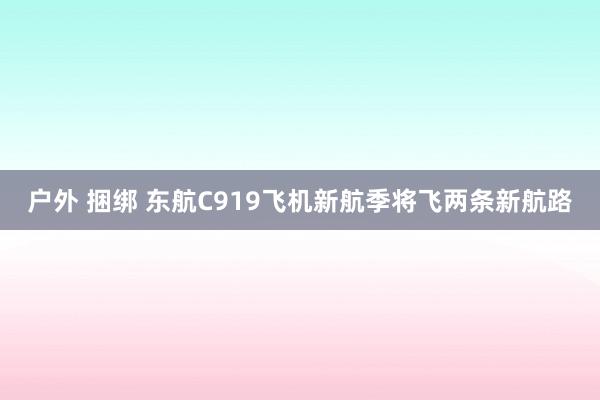 户外 捆绑 东航C919飞机新航季将飞两条新航路