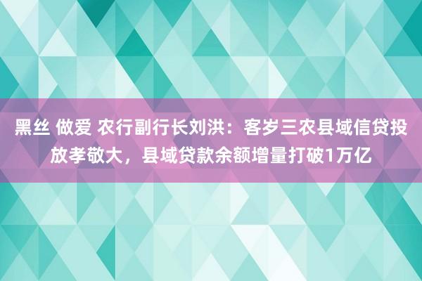 黑丝 做爱 农行副行长刘洪：客岁三农县域信贷投放孝敬大，县域贷款余额增量打破1万亿