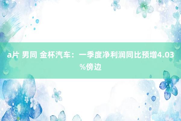 a片 男同 金杯汽车：一季度净利润同比预增4.03%傍边
