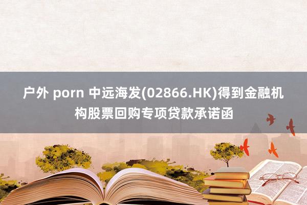 户外 porn 中远海发(02866.HK)得到金融机构股票回购专项贷款承诺函