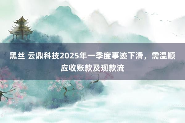 黑丝 云鼎科技2025年一季度事迹下滑，需温顺应收账款及现款流