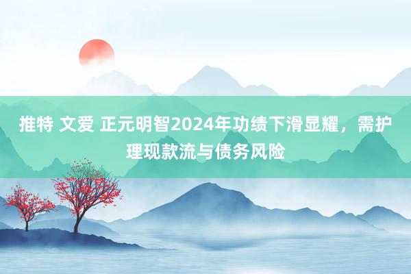 推特 文爱 正元明智2024年功绩下滑显耀，需护理现款流与债务风险