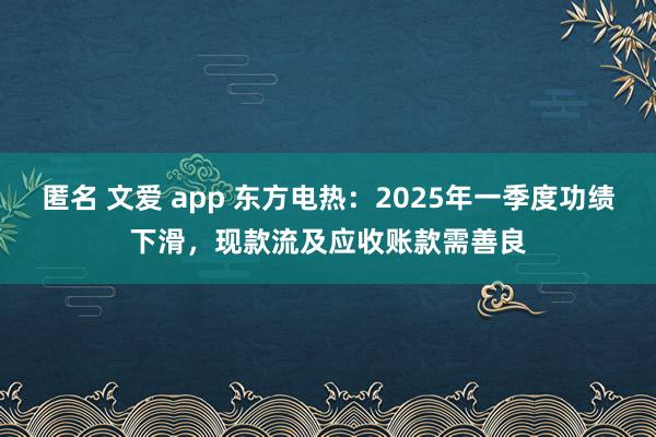 匿名 文爱 app 东方电热：2025年一季度功绩下滑，现款流及应收账款需善良