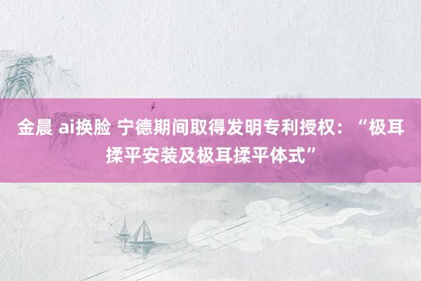 金晨 ai换脸 宁德期间取得发明专利授权：“极耳揉平安装及极耳揉平体式”